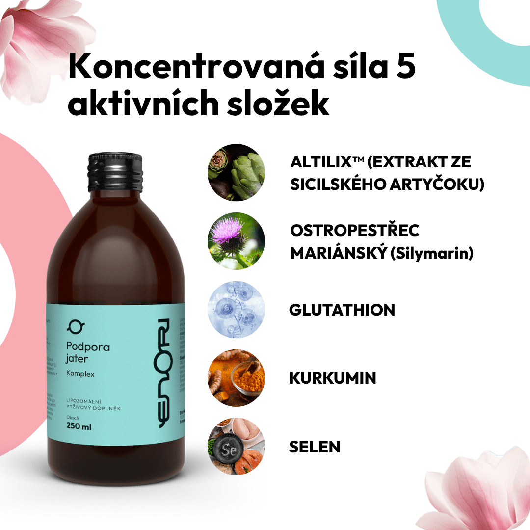 Podpora jater 6 CZ